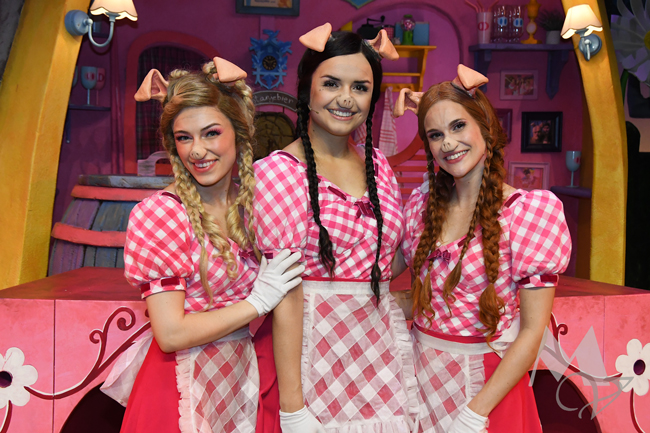 De 3 Biggetjes - Musical Vibes